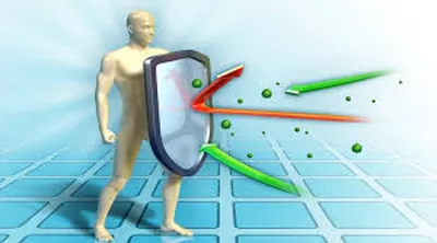 Illustration immune system - Image 2